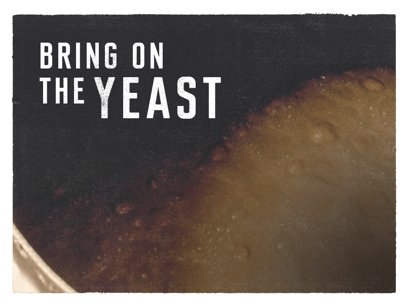 Bring on the yeast