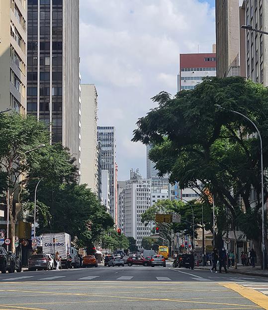 CARD 3 - CAMPINAS