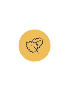 An Extra Refreshing Touch logo